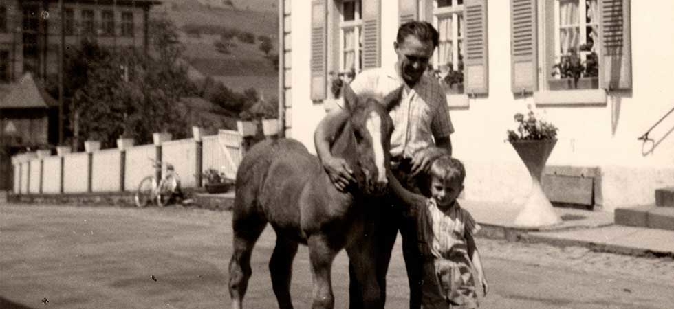 Pferde beim Gasthaus Zum Wilden Mann Pferde beim Gasthaus Zum Wilden Mann